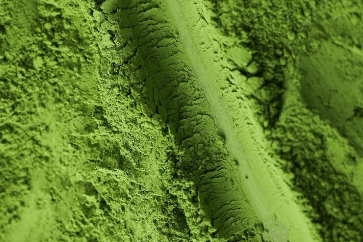 Ceremonial Matcha